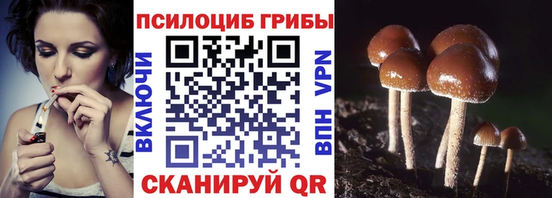 где купить наркоту Вологда Псилоцибиновые грибы мухоморы